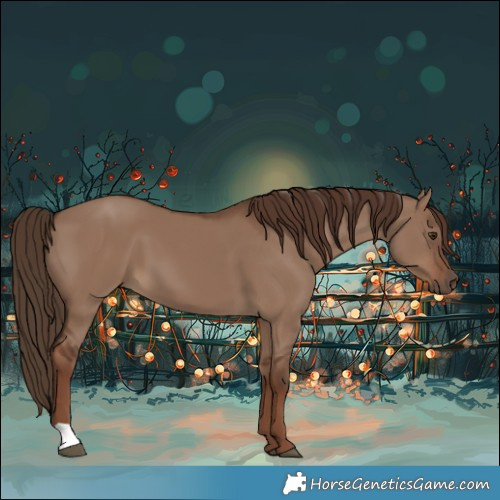 Horse Color:Liver Red Dun