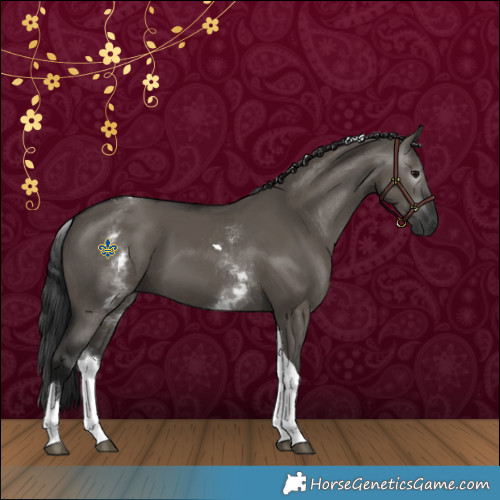 Horse Color:Gray White Spotted Grullo Tobiano