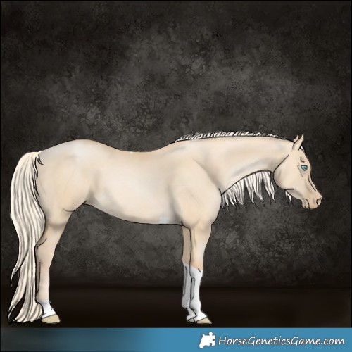 Horse Color:Palomino Pearl Dun Tobiano 