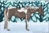Horse Color:Silver Blue Roan Tobiano