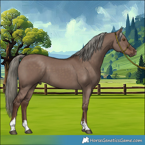 Horse Color:Liver Red Dun Mushroom 