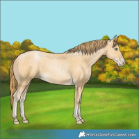 Horse Color:Smoky Black Pearl 
