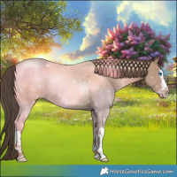Horse Color:Classic Champagne Splash 