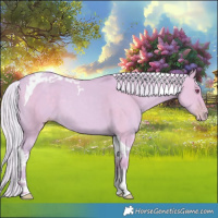 Horse Color:Watercolor Silver Classic Champagne Chinchilla Dun Tobiano 