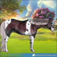 Horse Color:Silver Blue Onyx Chinchilla Ice Sabino Tobiano 