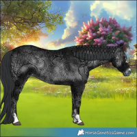 Horse Color:Blue Onyx Chinchilla Ice 