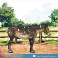 Horse Color:White Spotted Silver Buckskin 