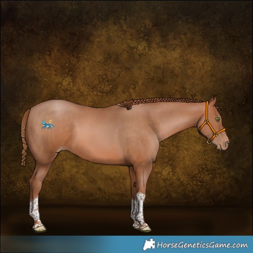 Horse Color:Brown Pearl Tobiano Rabicano 