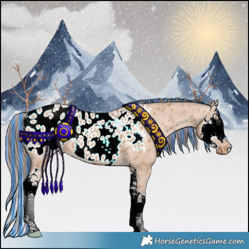 Horse Color:Painted Bay Dun Splash Appaloosa