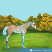 Horse Color:Thunderstruck Silver Bay Splash