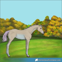 Horse Color:Watercolor Chestnut 