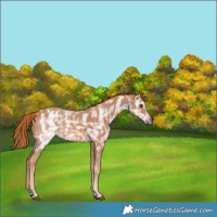 Horse Color:Chestnut Ice 