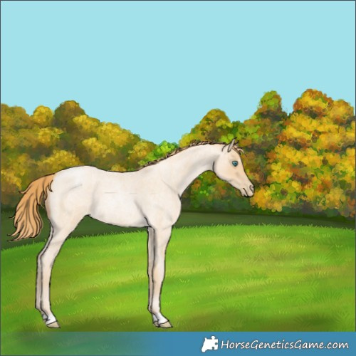 Horse Color:Smoky Blue Roan Pearl 