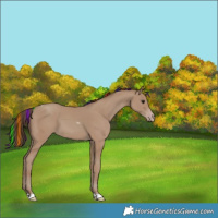 Horse Color:Painted Classic Champagne Tobiano