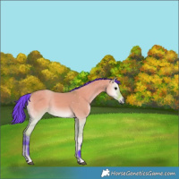 Horse Color:Watercolor Bay Onyx 