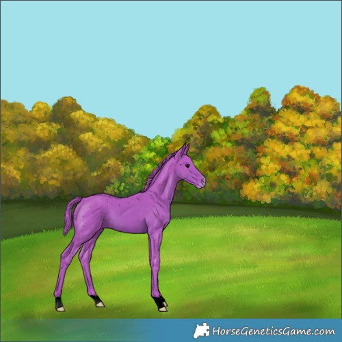 Horse Color:ERROR: UNKNOWN ANOMALY