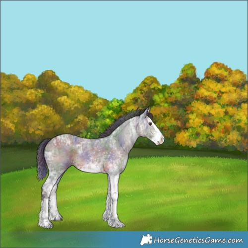 Horse Color:Nacre White Spotted Liver Chestnut Ice Splash 