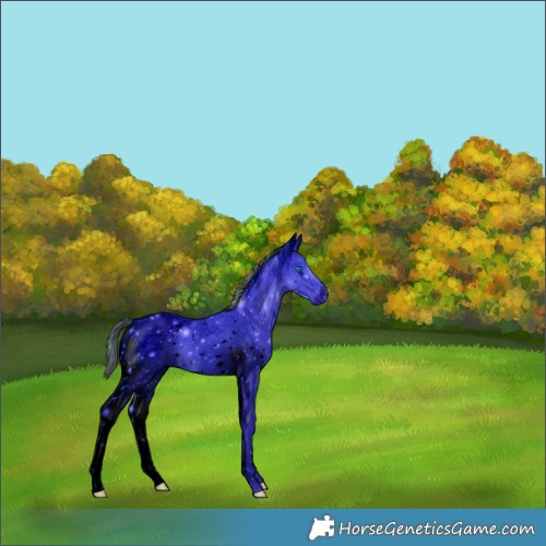 Horse Color:ERROR: UNKNOWN ANOMALY