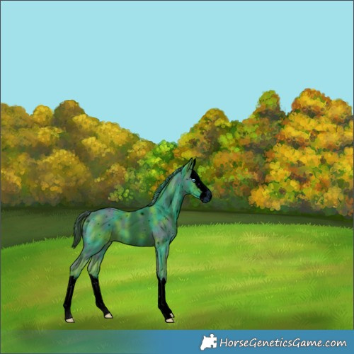 Horse Color:ERROR: UNKNOWN ANOMALY