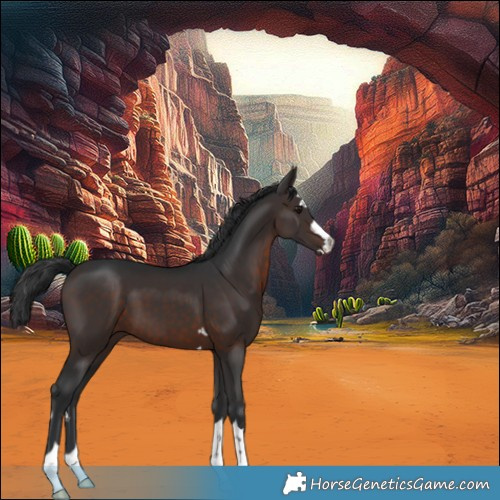 Horse Color:Brown 