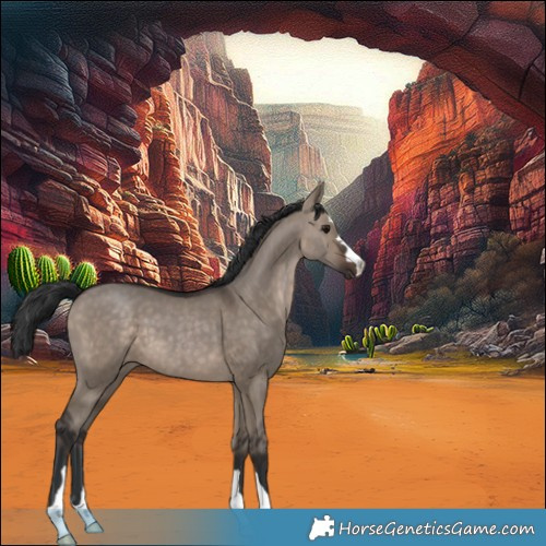 Horse Color:Brown Dun 