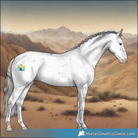 Horse Color:Liver Chestnut Mushroom Sabino 