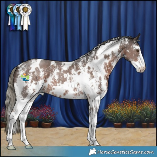 Horse Color:White Spotted Liver Chestnut Mushroom Sabino 