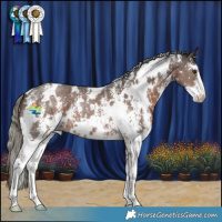 Horse Color:White Spotted Liver Chestnut Mushroom Sabino 