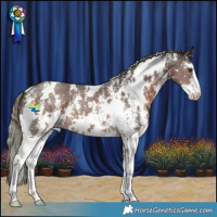 Horse Color:White Spotted Liver Chestnut Mushroom Sabino