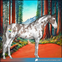Horse Color:White Spotted Liver Chestnut Mushroom Sabino 