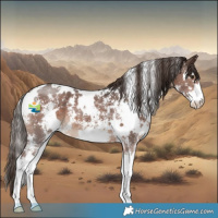 Horse Color:White Spotted Liver Chestnut Sabino 