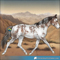 Horse Color:White Spotted Liver Chestnut Sabino