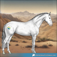 Horse Color:Brown Sabino 
