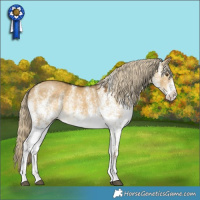 Horse Color:White Spotted Chocolate Palomino Dun Mushroom 