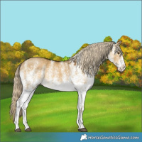 Horse Color:White Spotted Chocolate Palomino Dun Mushroom