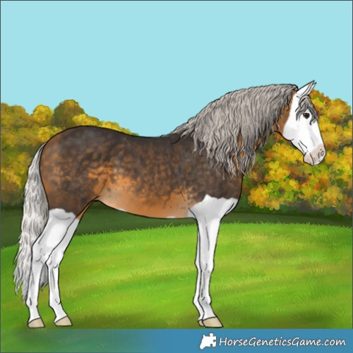 Horse Color:Silver Buckskin Splash 
