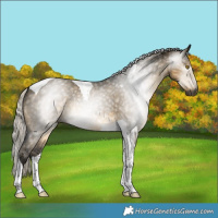 Horse Color:Gray Silver Buckskin Dun Tobiano 