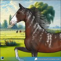 Horse Color:Powder White White Spotted Liver Chestnut
