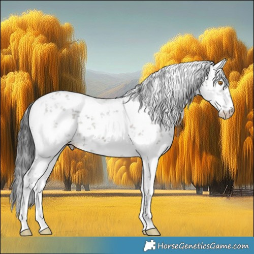 Horse Color:White Spotted Grullo Sabino 
