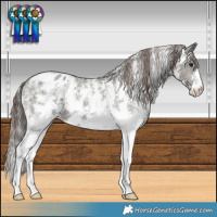 Horse Color:Grullo Sabino Blanket 