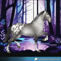 Horse Color:Gray Grullo Sabino Blanket Rabicano