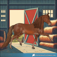 Horse Color:Chestnut 
