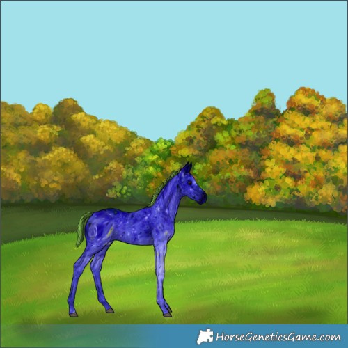 Horse Color:ERROR: UNKNOWN ANOMALY