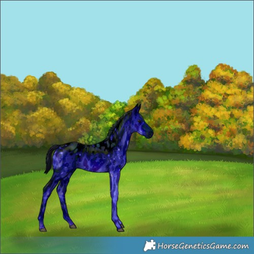 Horse Color:ERROR: UNKNOWN ANOMALY