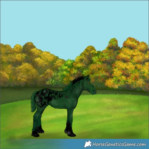 Horse Color:ERROR: UNKNOWN ANOMALY