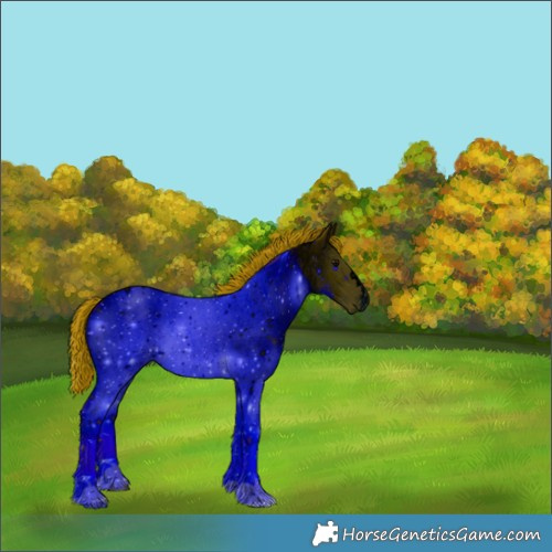 Horse Color:ERROR: UNKNOWN ANOMALY