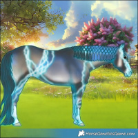 Horse Color:Thunderstruck Blue Onyx 