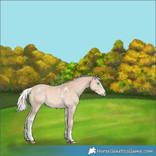 Horse Color:White Spotted Silver Perlino Tobiano Rabicano 