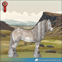 Horse Color:White Spotted Silver Grullo Onyx 
