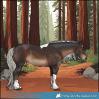 Horse Color:Silver Brown Tobiano 